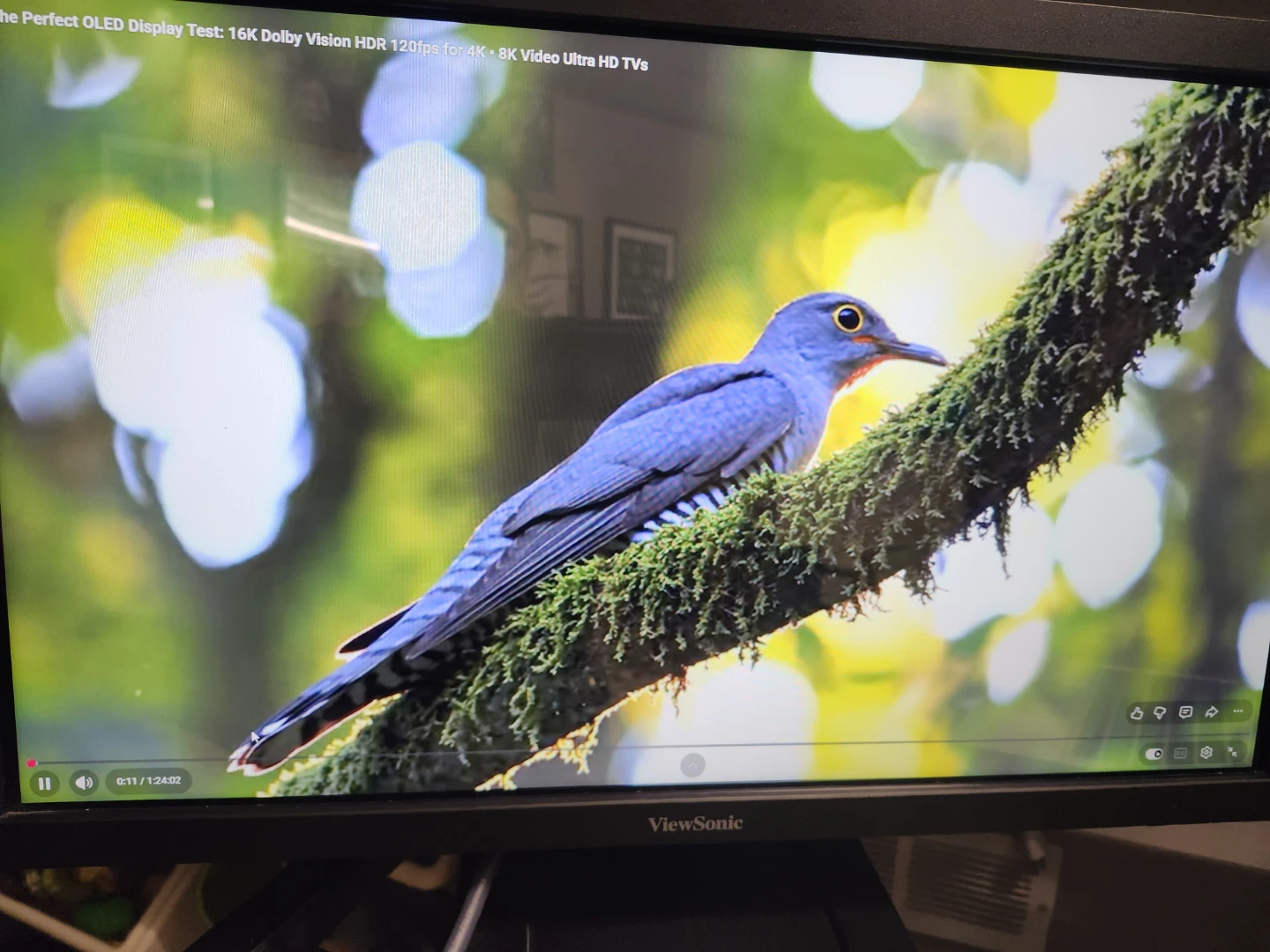 24  inch Touchscreen Computer Monitor (LIKE NEW)