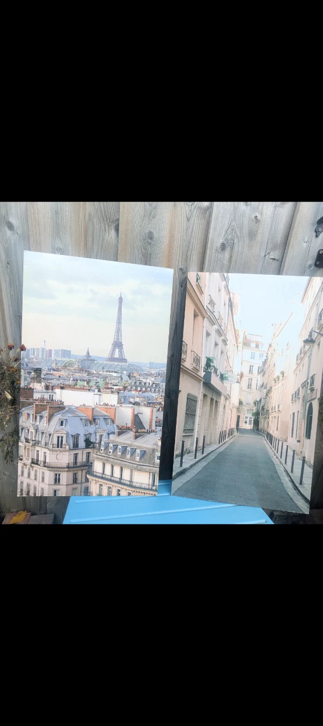 Set of two Paris themed wall art prints Both for $10