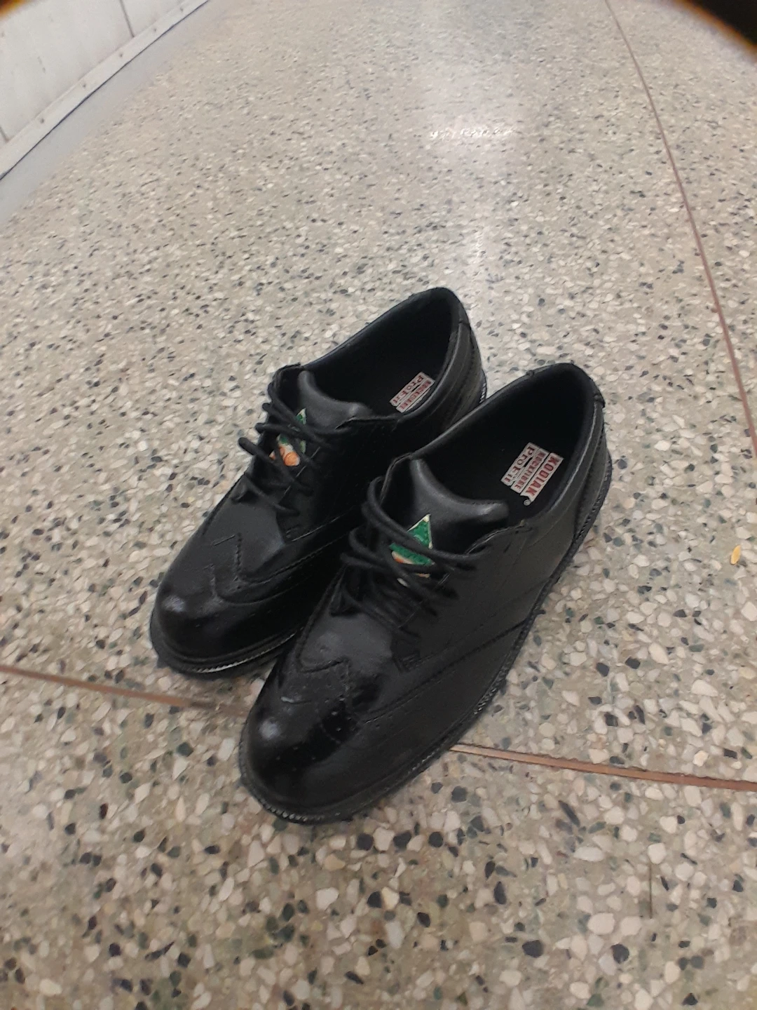 Kodiak Rockfibre ProFit Black Work Shoes