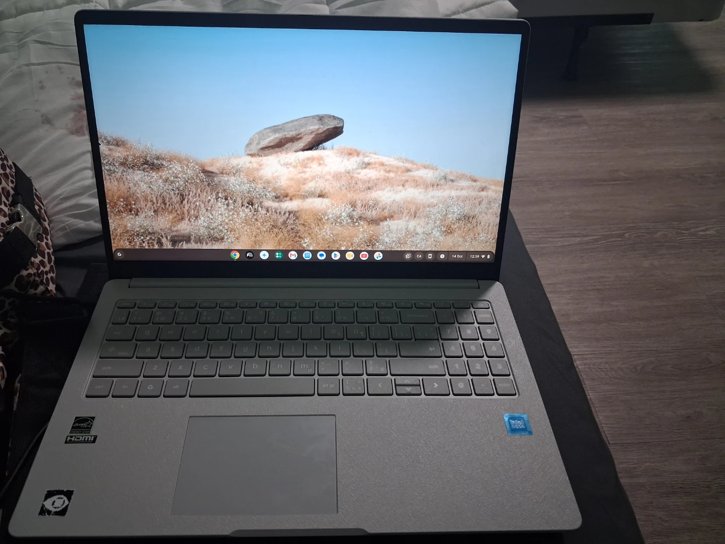ASUS Chromebook Plus CX15 – 15.6" Laptop – $250 OBO