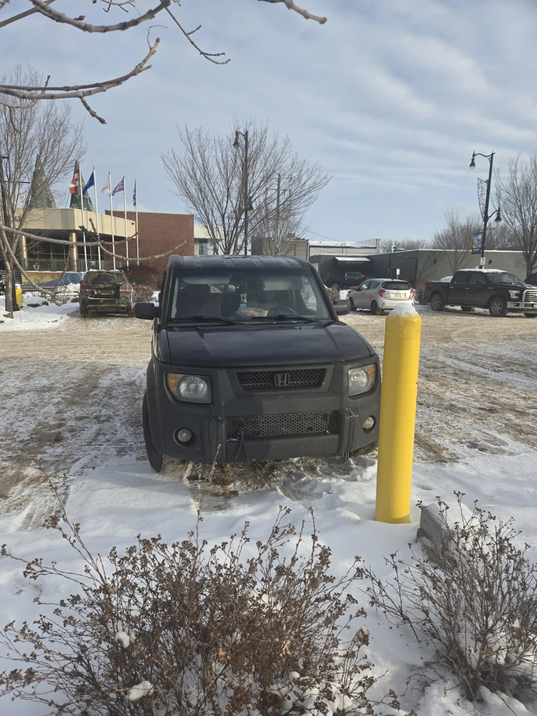 Honda Element 2008 - photo 5