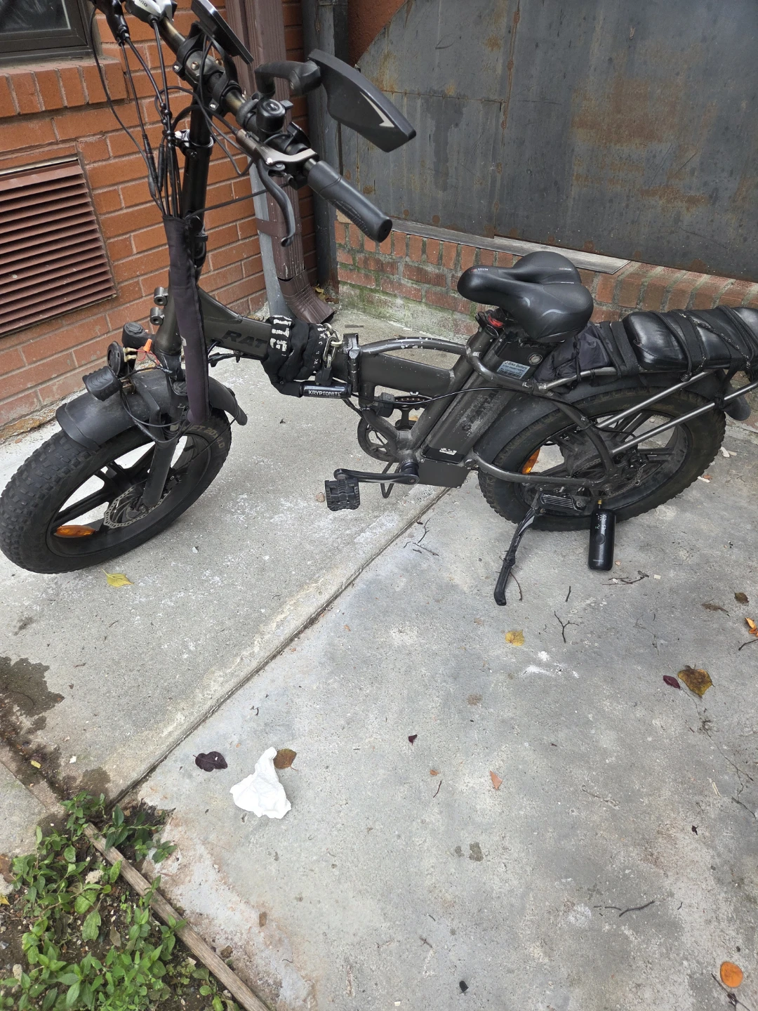 Rattan Folding Electric Bike