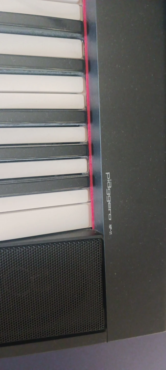 Yamaha Piaggero NP-11 Digital Keyboard - photo 4