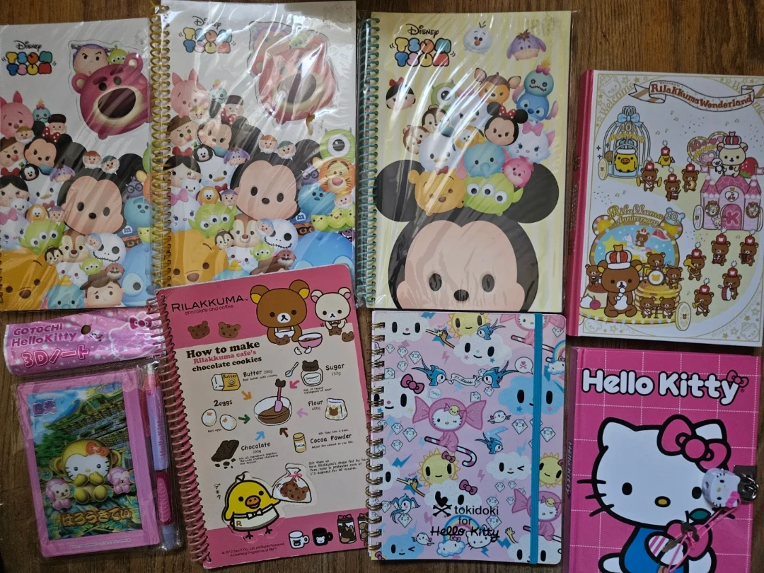 Assorted Character Notebooks and Stationery Set