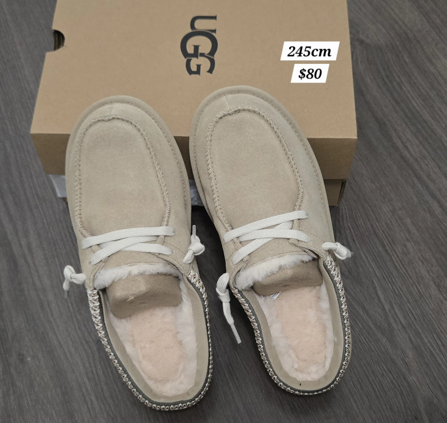 Unworn UGG Tasman Mule