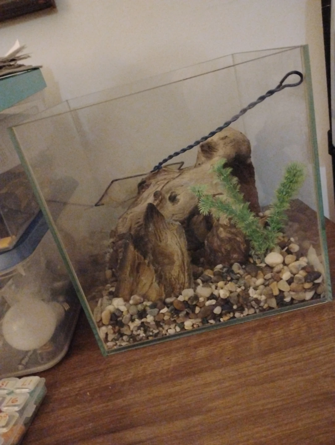 Glass Aquarium with Decor