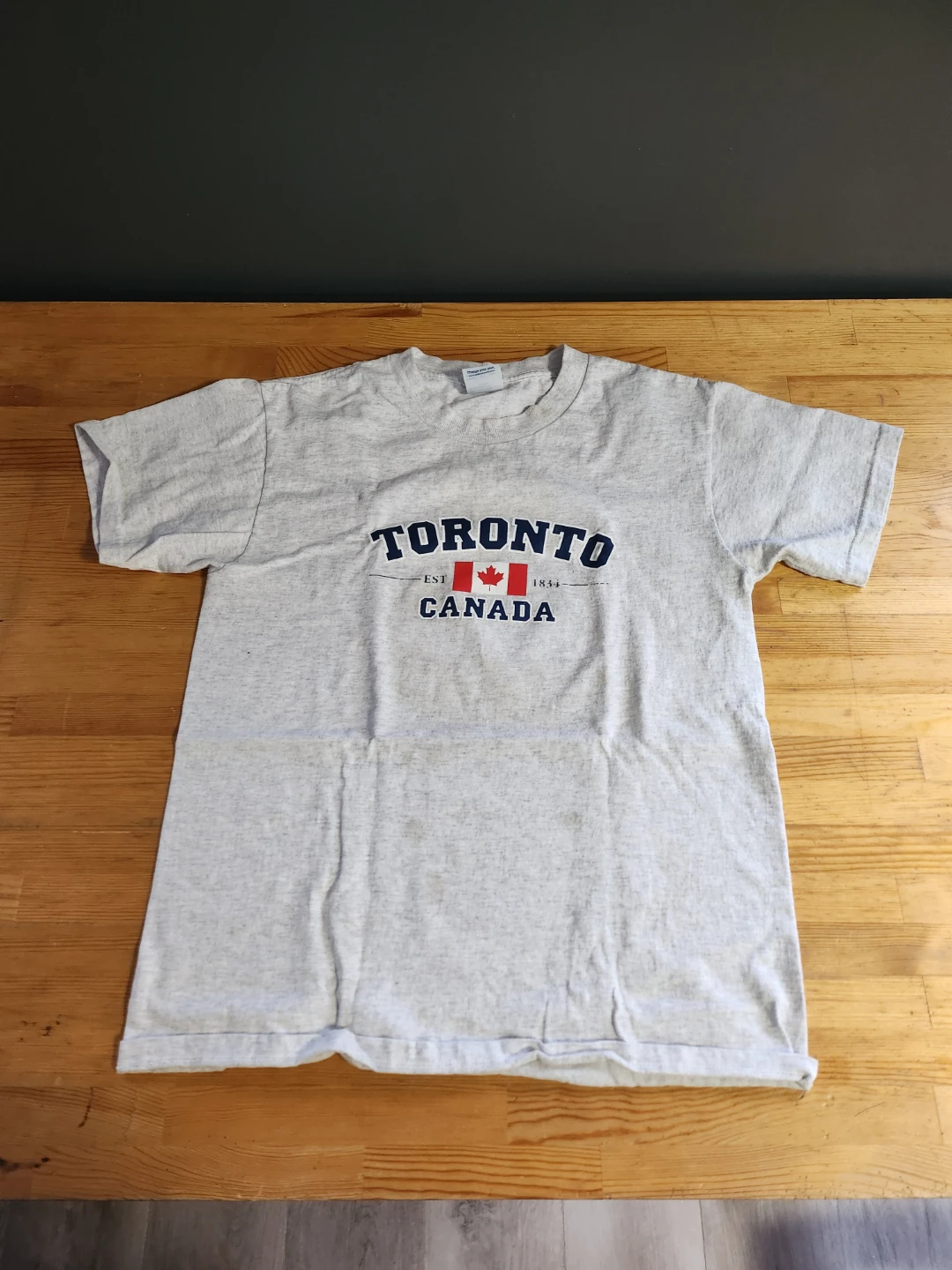 Toronto Canada souvenir T-shirt