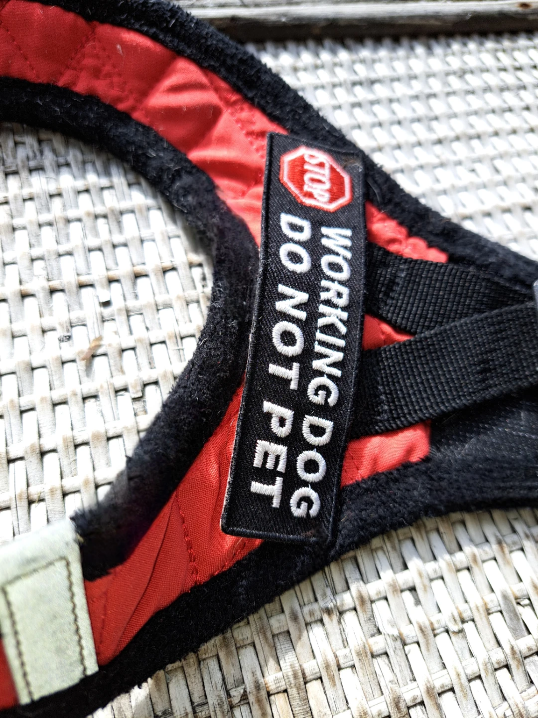 Voyager Working Dog Harness Sz S