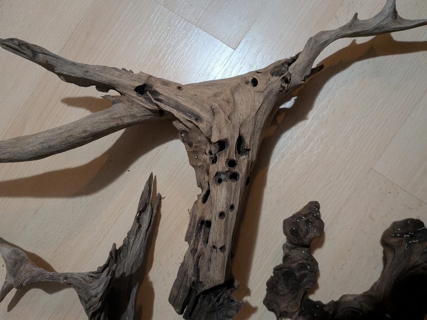Natural Driftwood Pieces for Aquariums - photo 4