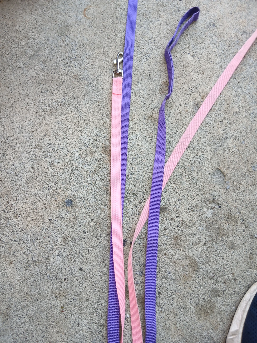 Two Nylon Dog Leashes