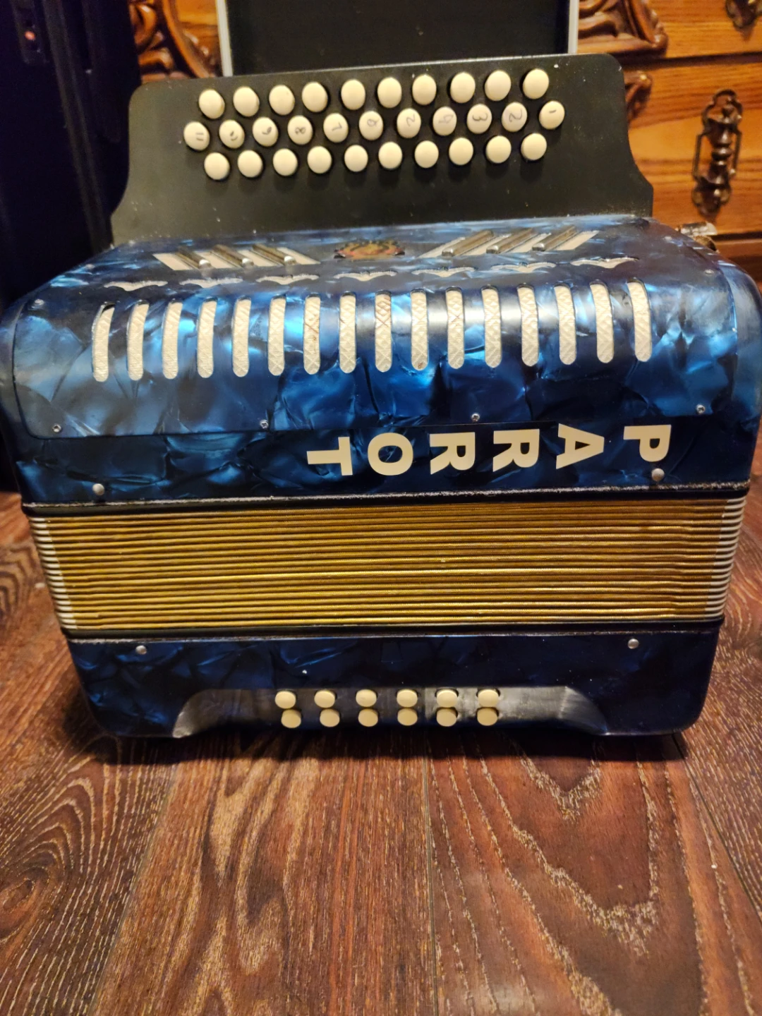 Parrot Accordion with Carrying Case - photo 2