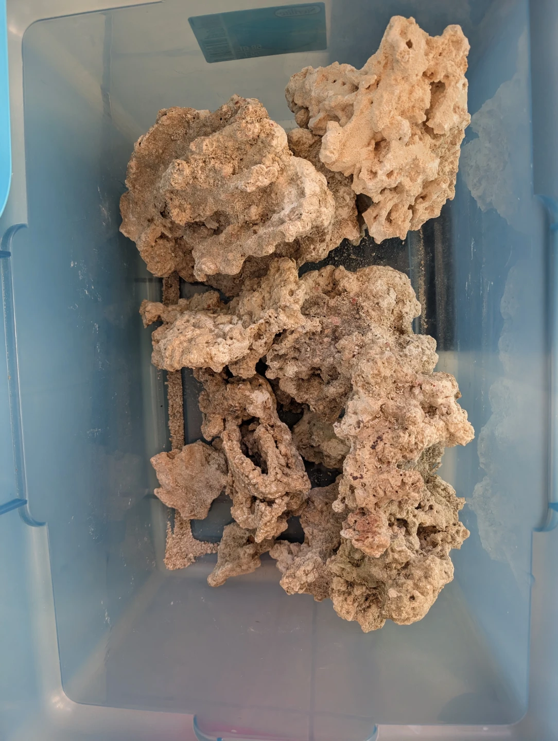 Natural Aquarium live Rock - photo 2