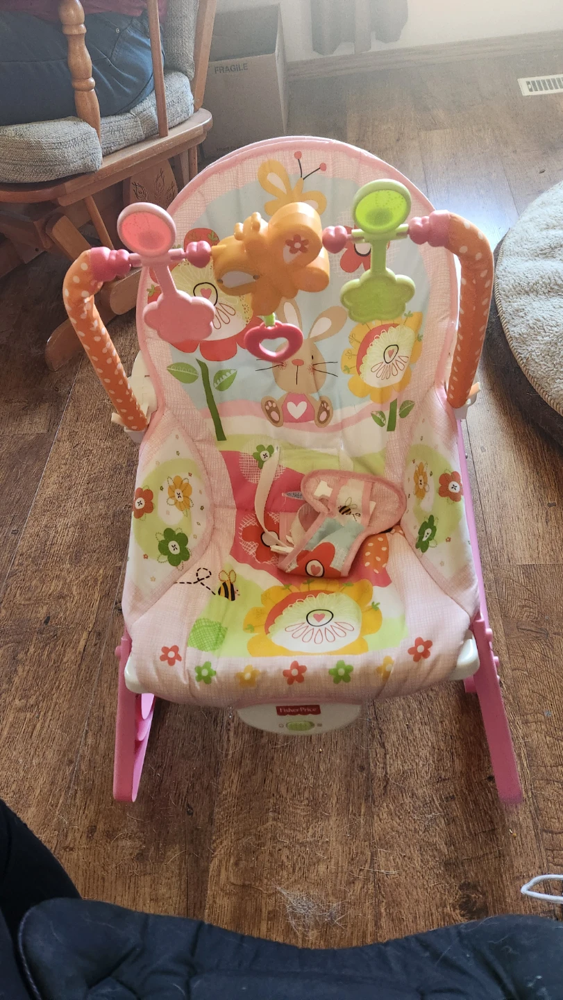 Fisher-Price Infant Bouncer