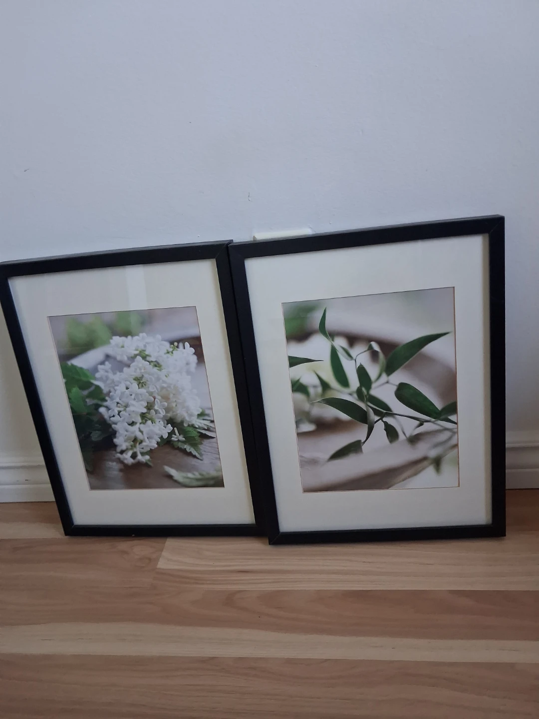 Set of Two Botanical Framed Prints