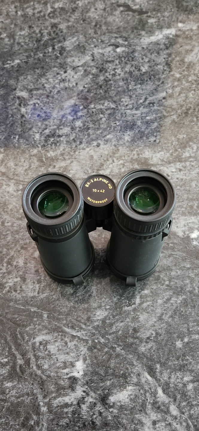 Leupold BX-2 Alpine HD 10x42 Binoculars - photo 2