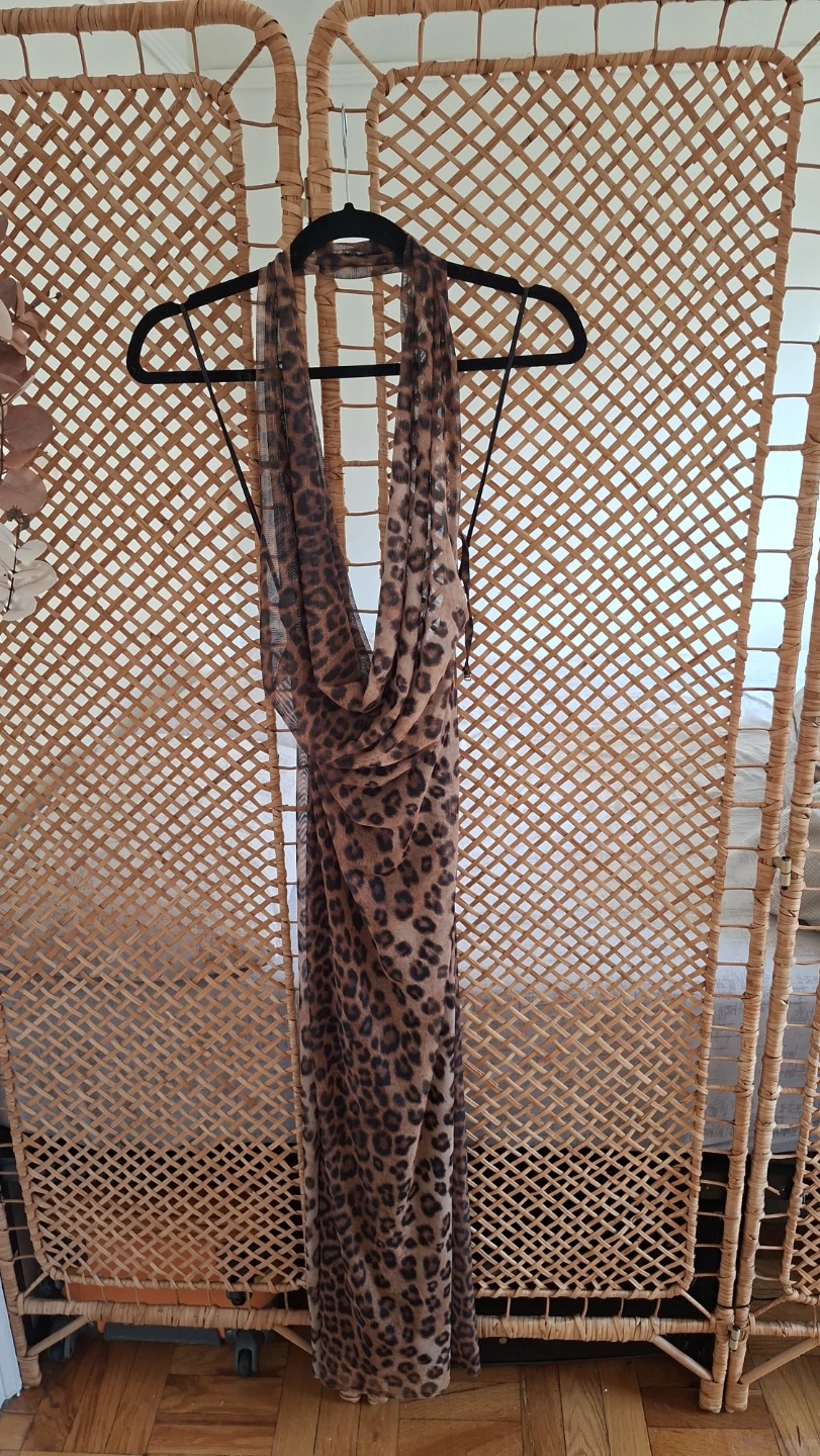 Leopard Print Mesh Maxi Dress zara