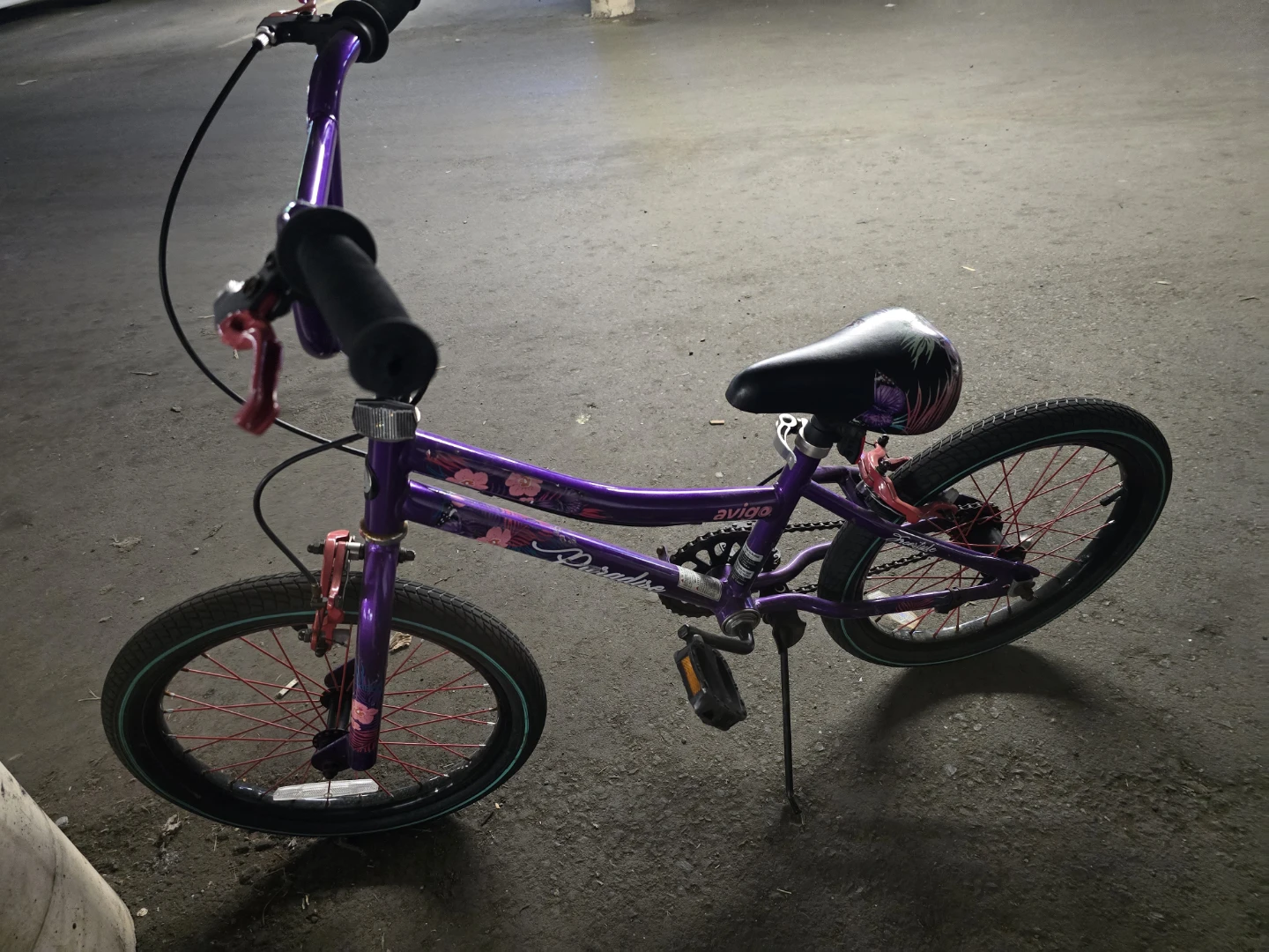 Avigo Paradise 18-inch Kids Bicycle