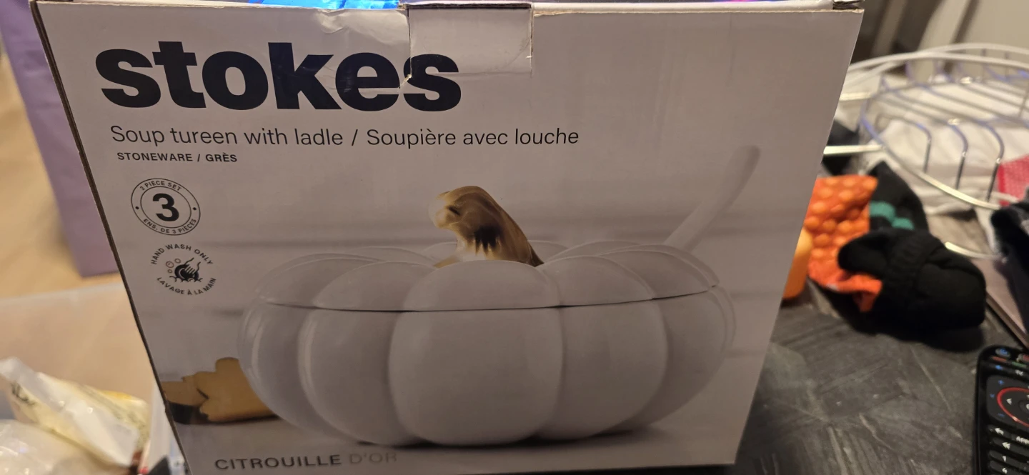 Stokes Citrouille D'Or Soup Tureen with Ladle - photo 3