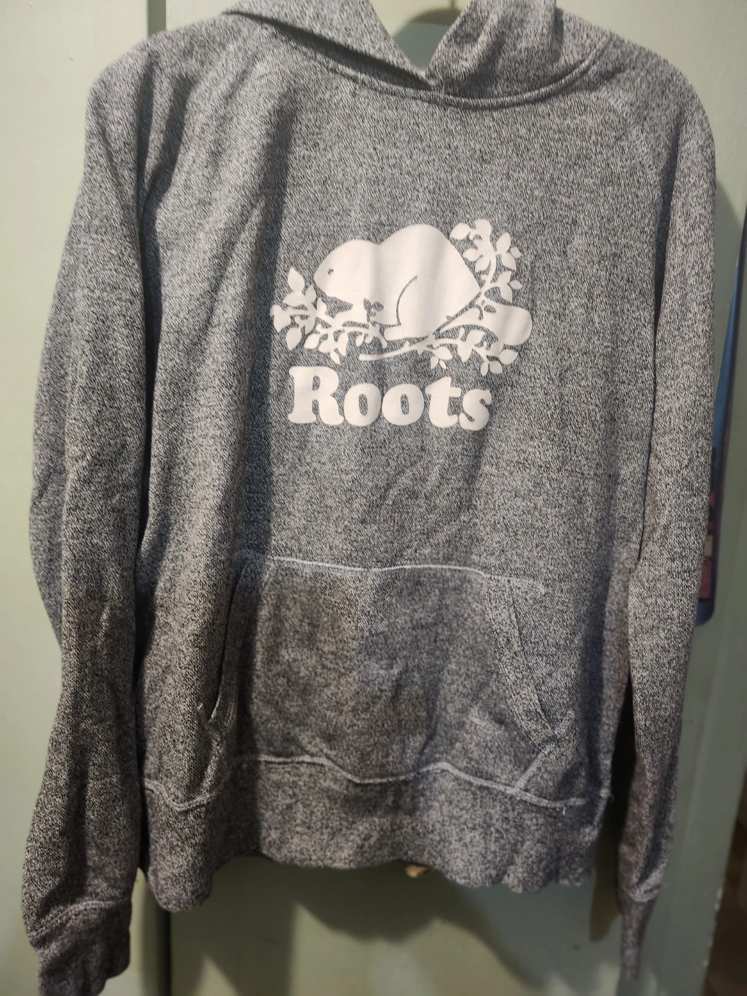 Roots Grey Hoodie - photo 2