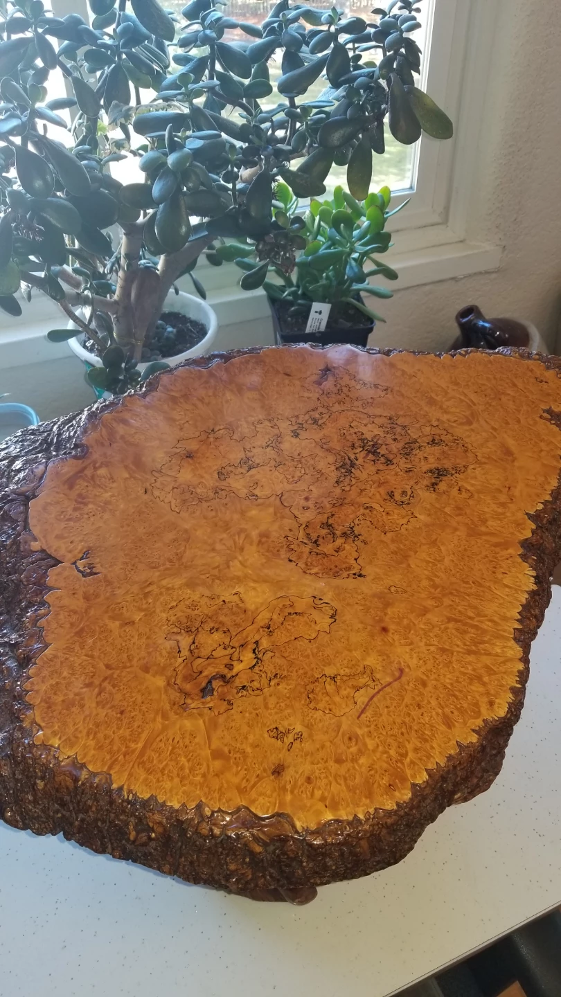 Natural Wood Burl Accent Table - photo 3