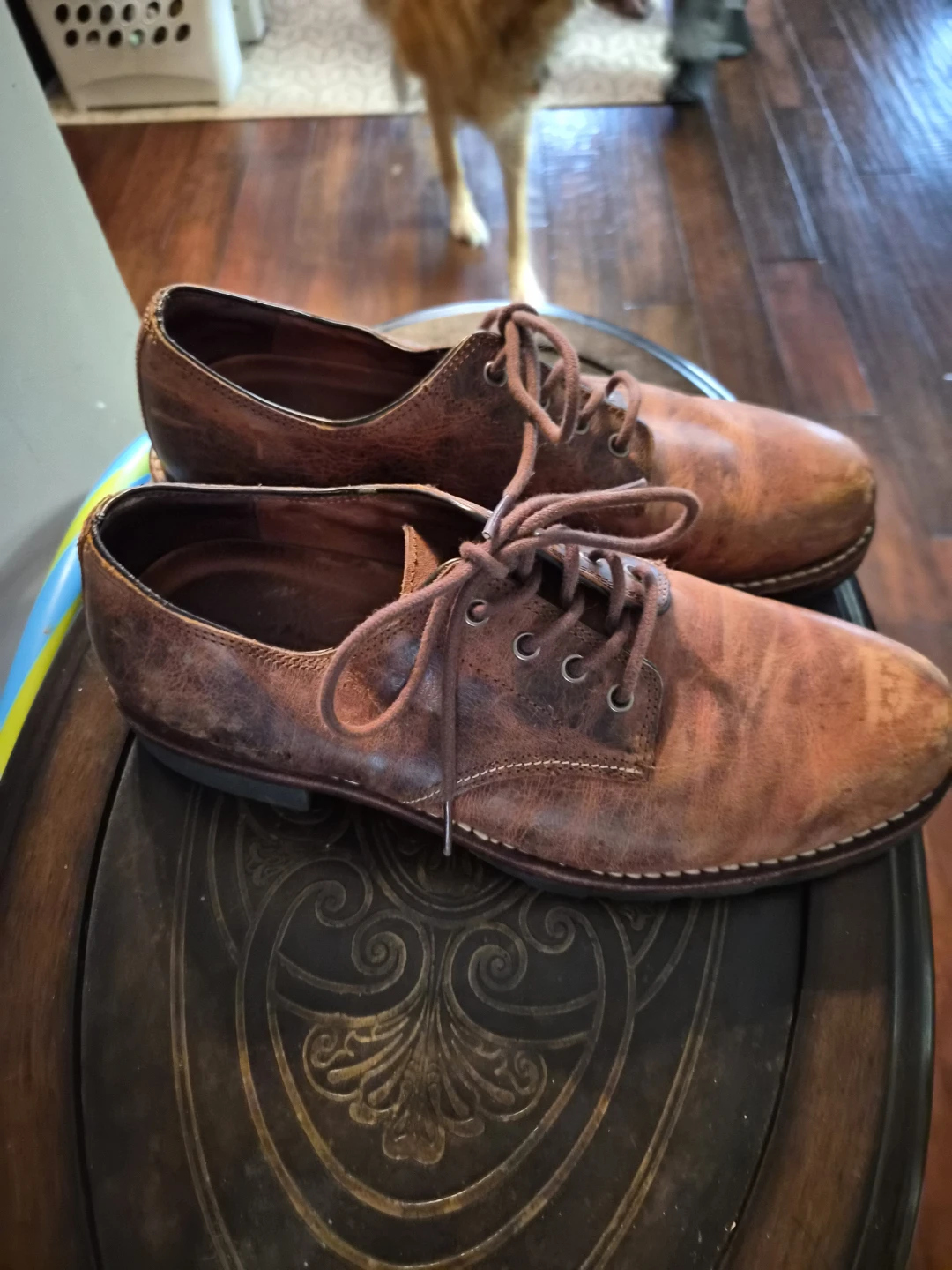 Wind River Men's size 10 shoes - photo 2