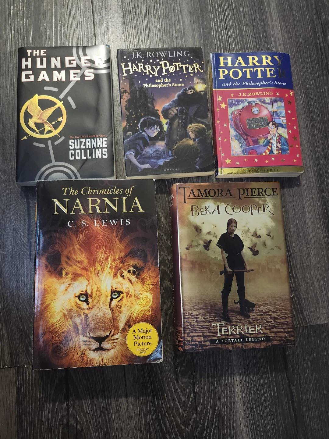 Fantasy and Young Adult Book Collection - photo 3
