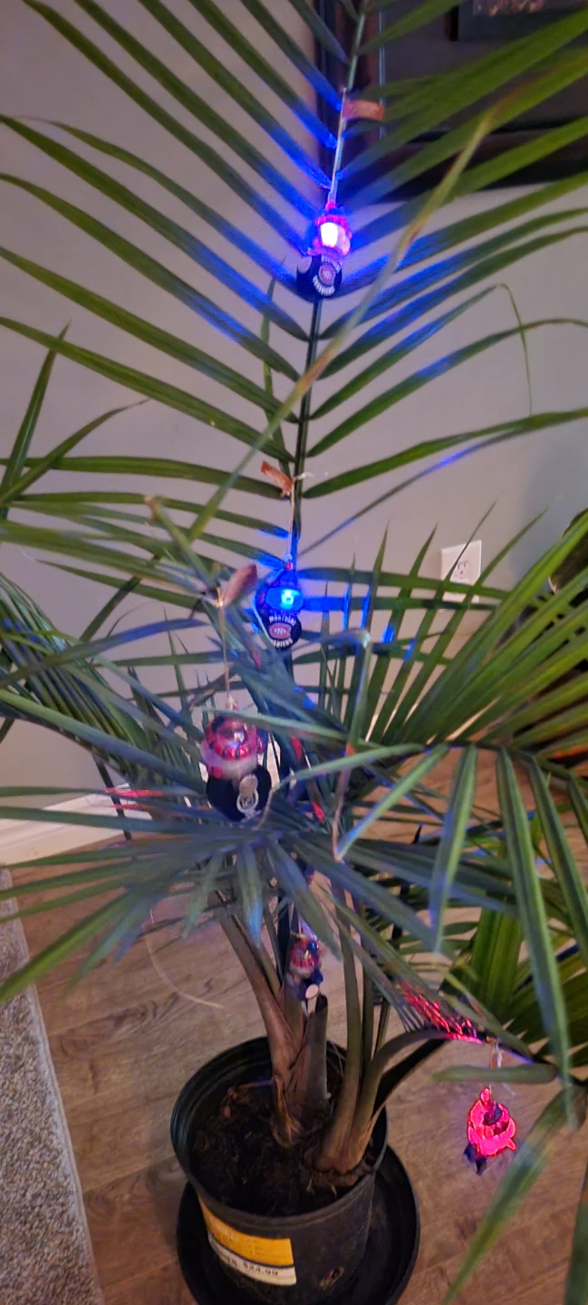 Montreal Canadiens Light-Up Hockey Puck Ornament - photo 2