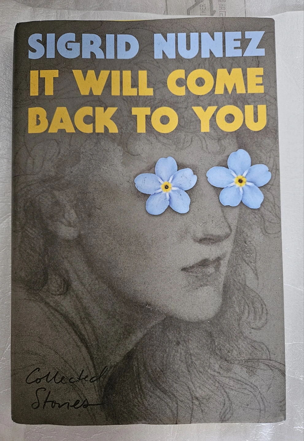 It Will Come Back to You by Sigrid Nunez