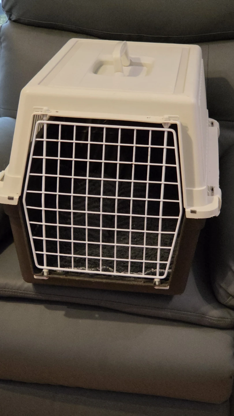 Medium Hard Sided Pet Travel Crate