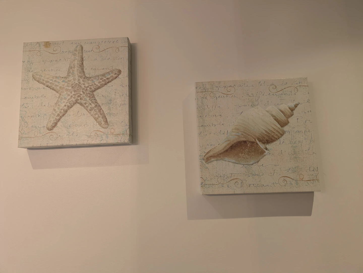 Set of Two Coastal Wall Art Canvas Prints