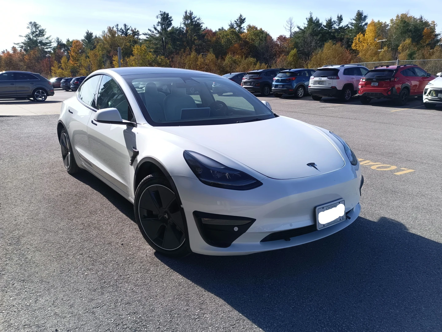 Tesla Model 3 - photo 2