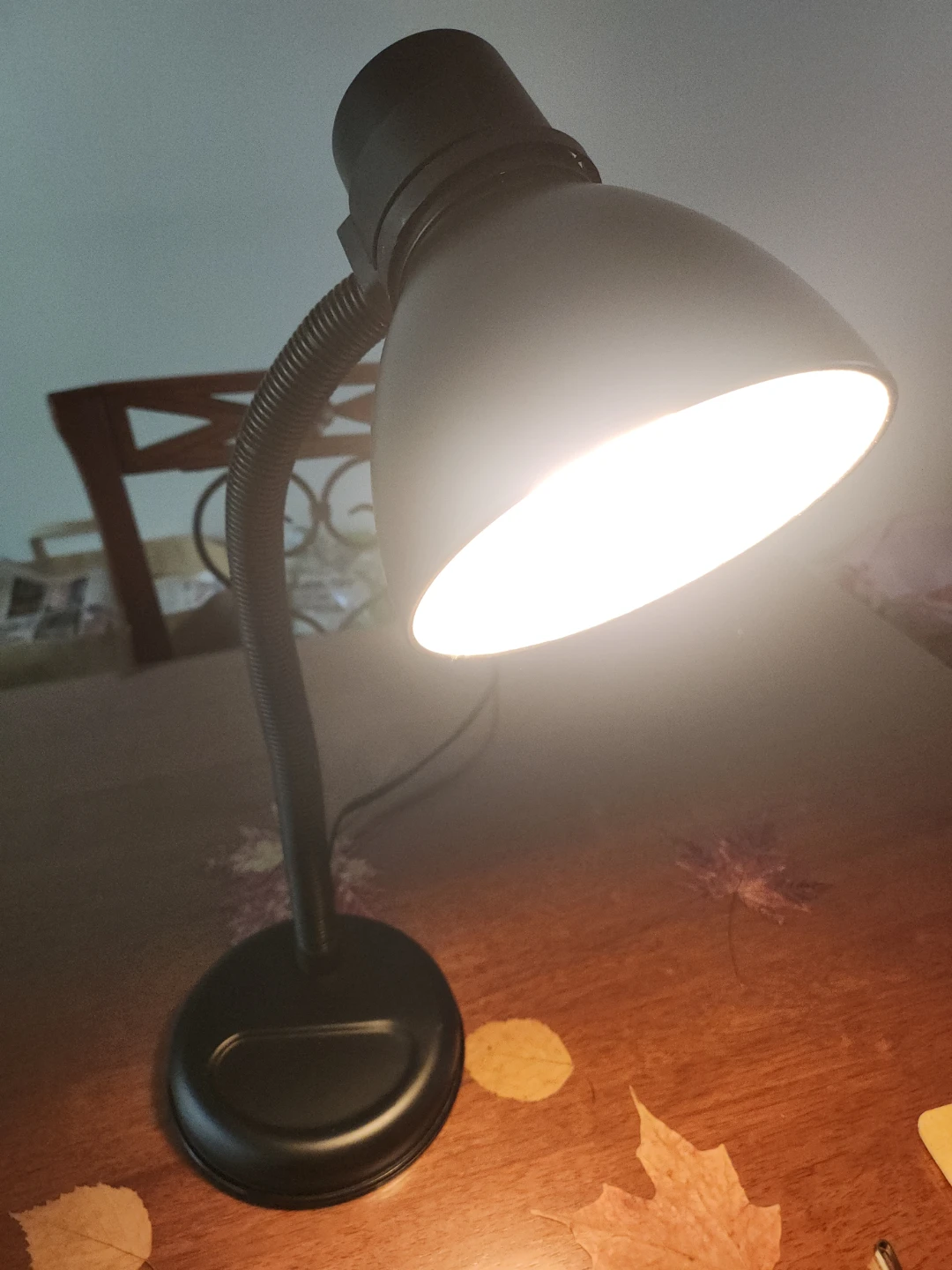 Black Desk Lamp (Bulb Included) - photo 2