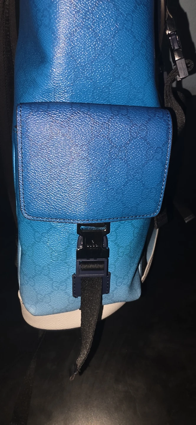 Gucci gradient backpack - photo 3