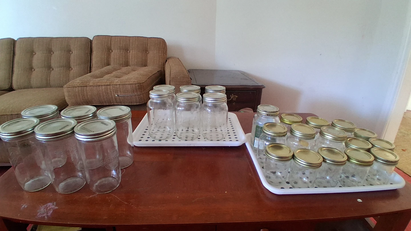 Set of 24 Bernardin Mason Jars - photo 4
