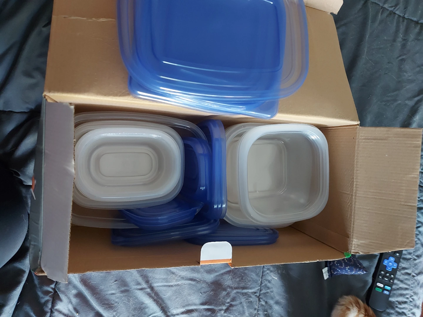 Proctor Silex 50 Piece Storage Set - photo 2