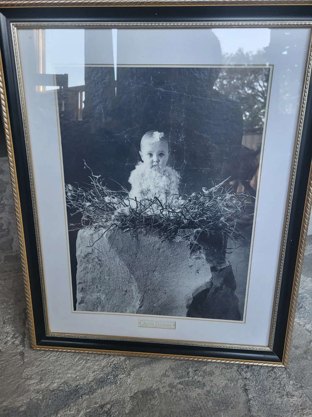 Anne Geddes Framed Art Print