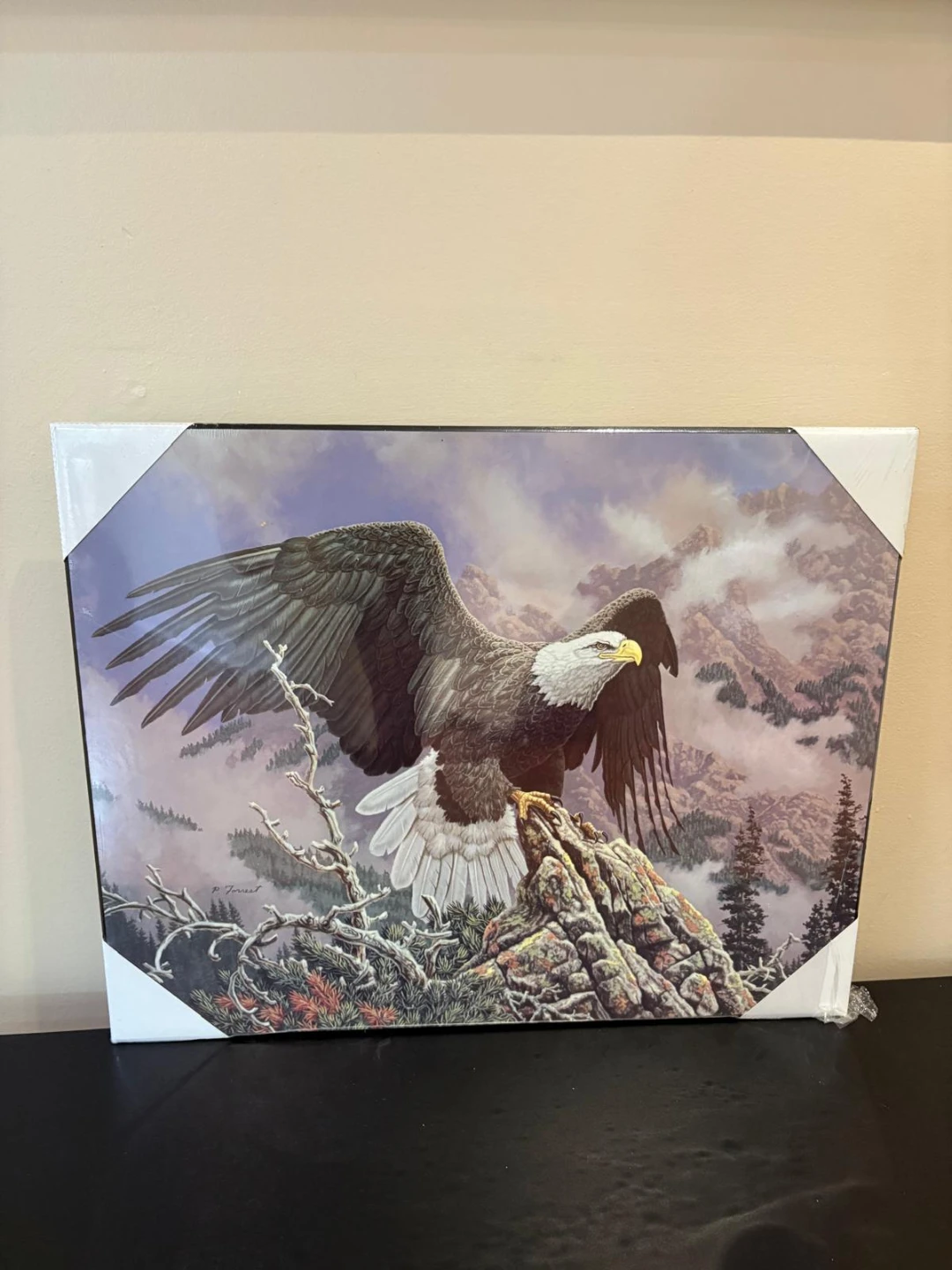 Eagle Wall Art Canvas Print