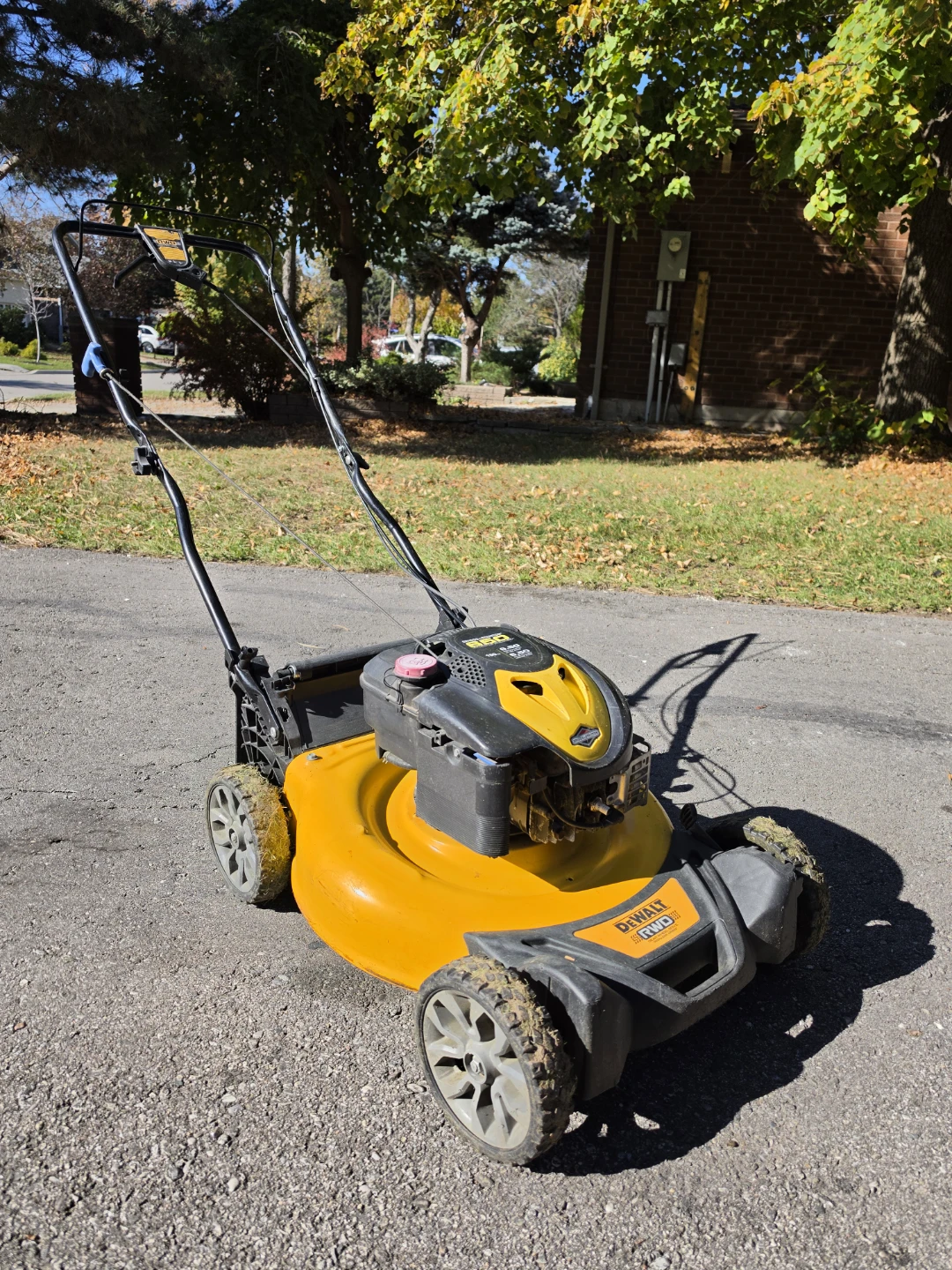 DeWalt RWD Lawn Mower with 190cc Briggs & Stratton Engine - photo 3