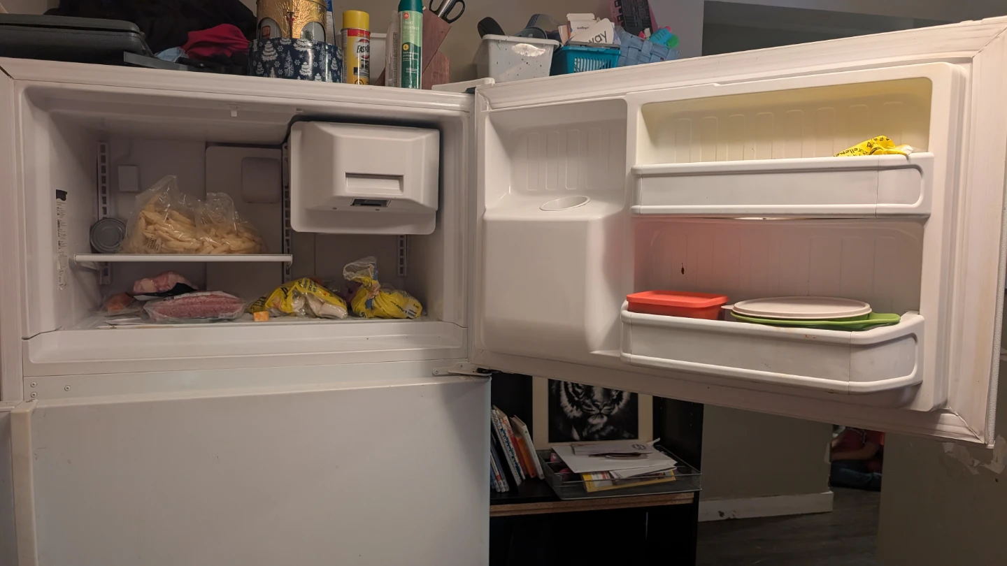 GE Profile Performance Refrigerator - photo 4