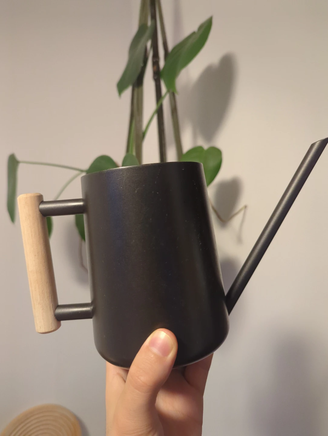 MCM Style Black Watering Can