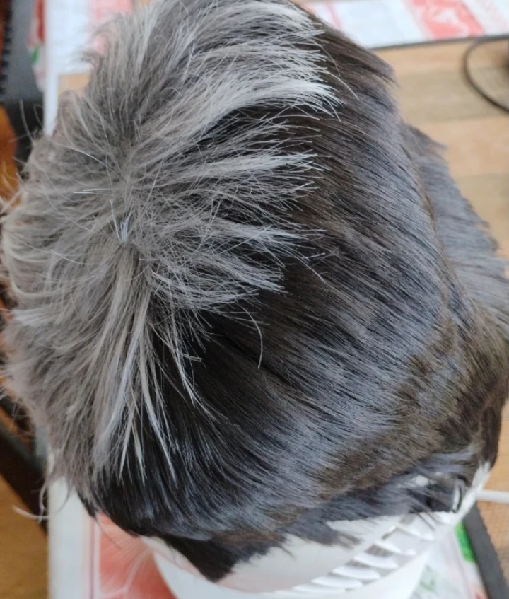 Halloween Short Salt and Pepper Men's Toupee