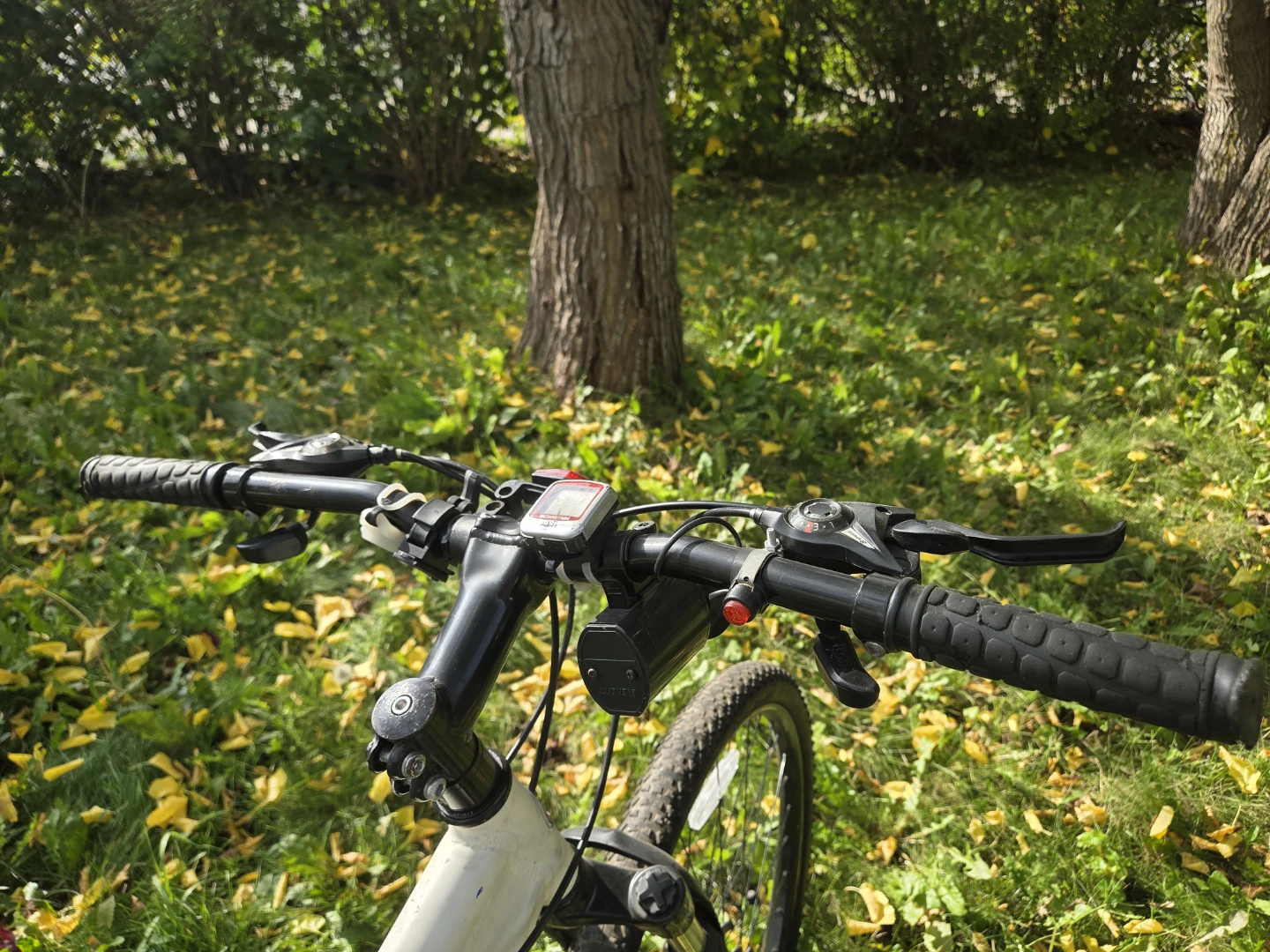 Blue and white Schwinn Grande 6.2 mountain bike - photo 2