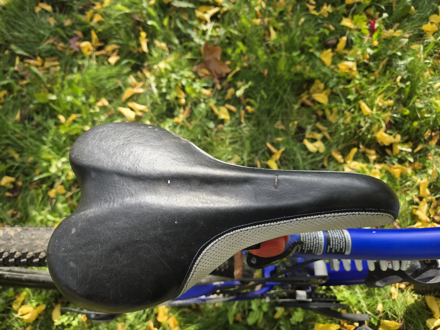Blue and white Schwinn Grande 6.2 mountain bike - photo 3
