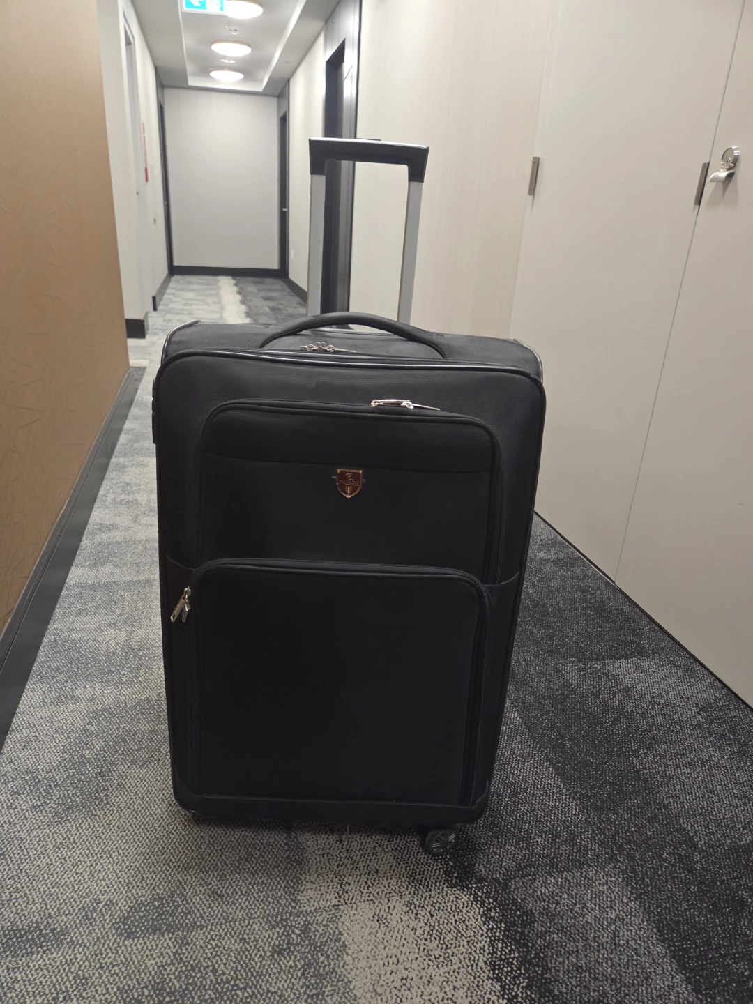 Fulinglong Black Suitcase