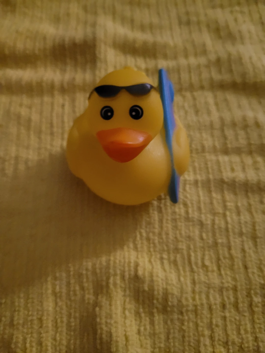 Rubber duck with surf board