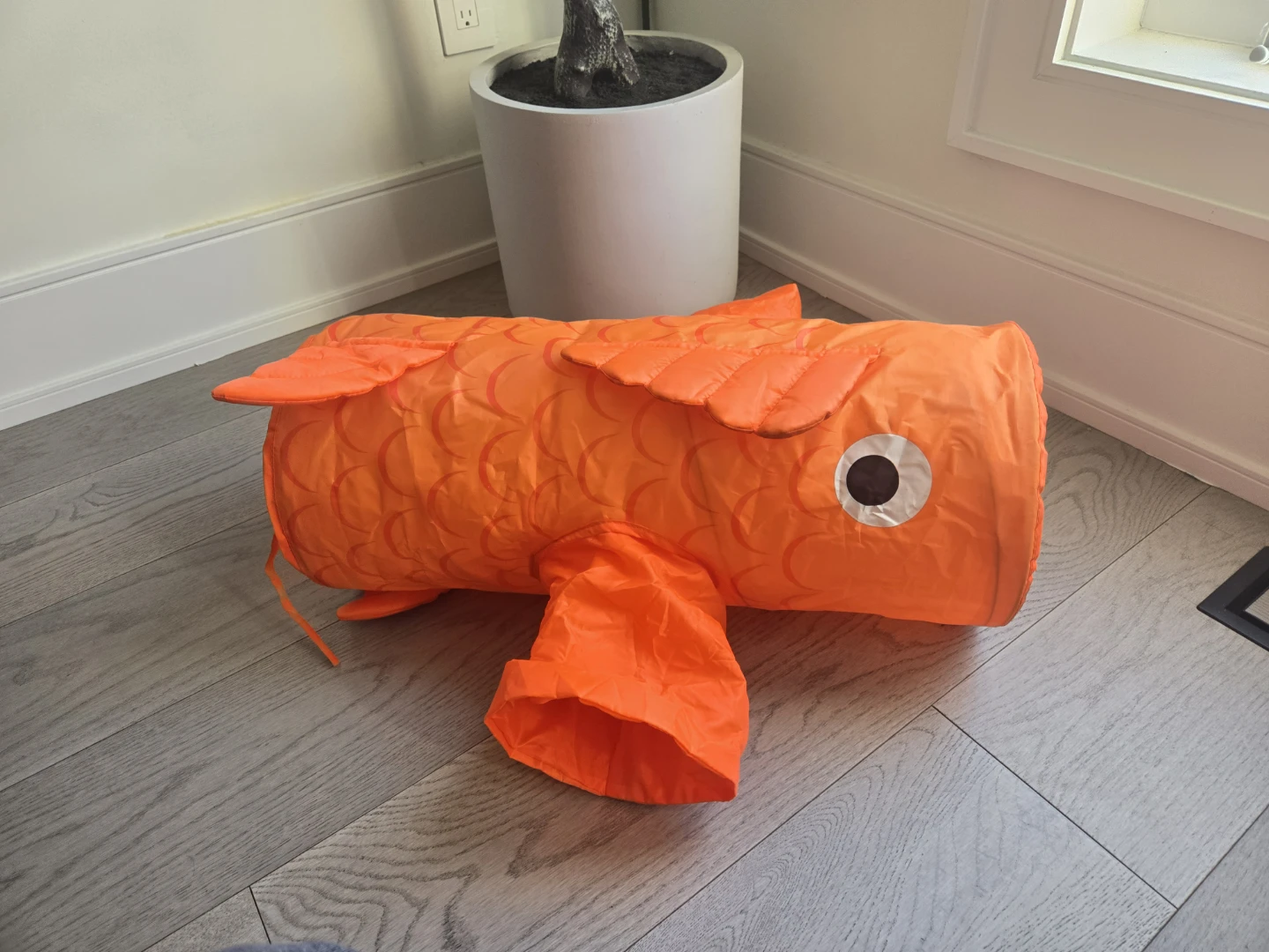 Orange Fish Cat Tunnel