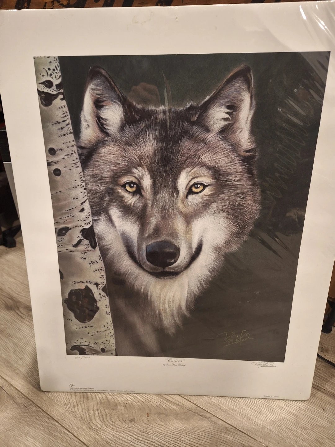Ducks Unlimited Canada Wolf Art Prints - photo 4