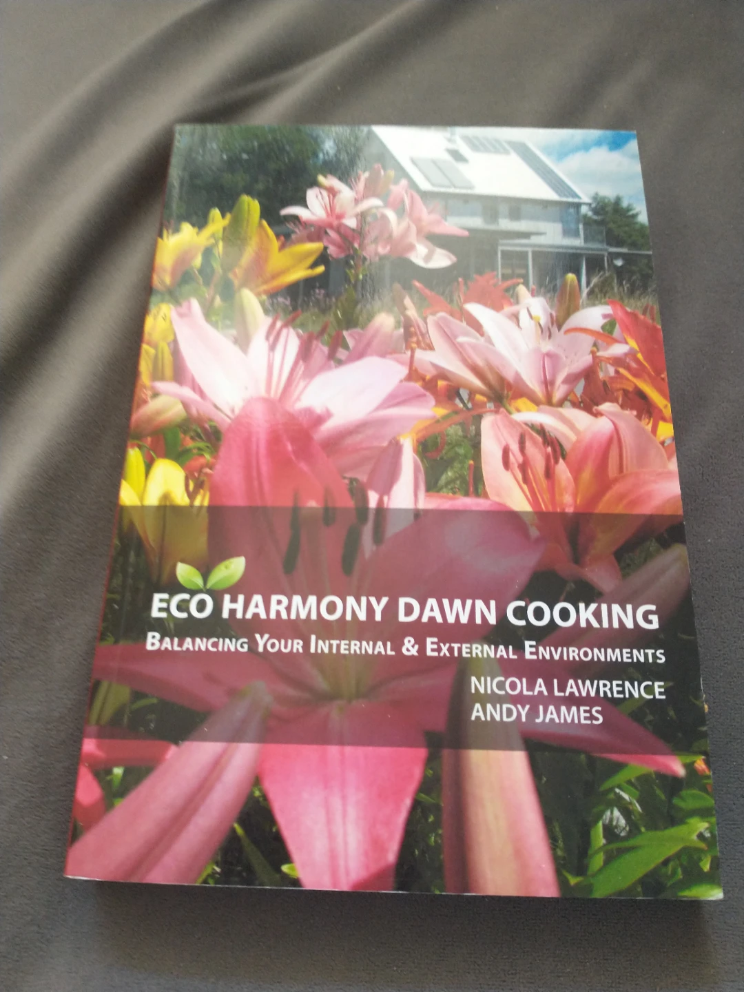 Eco Harmony Dawn Cooking - Nicola Lawrence & Andy James - photo 2