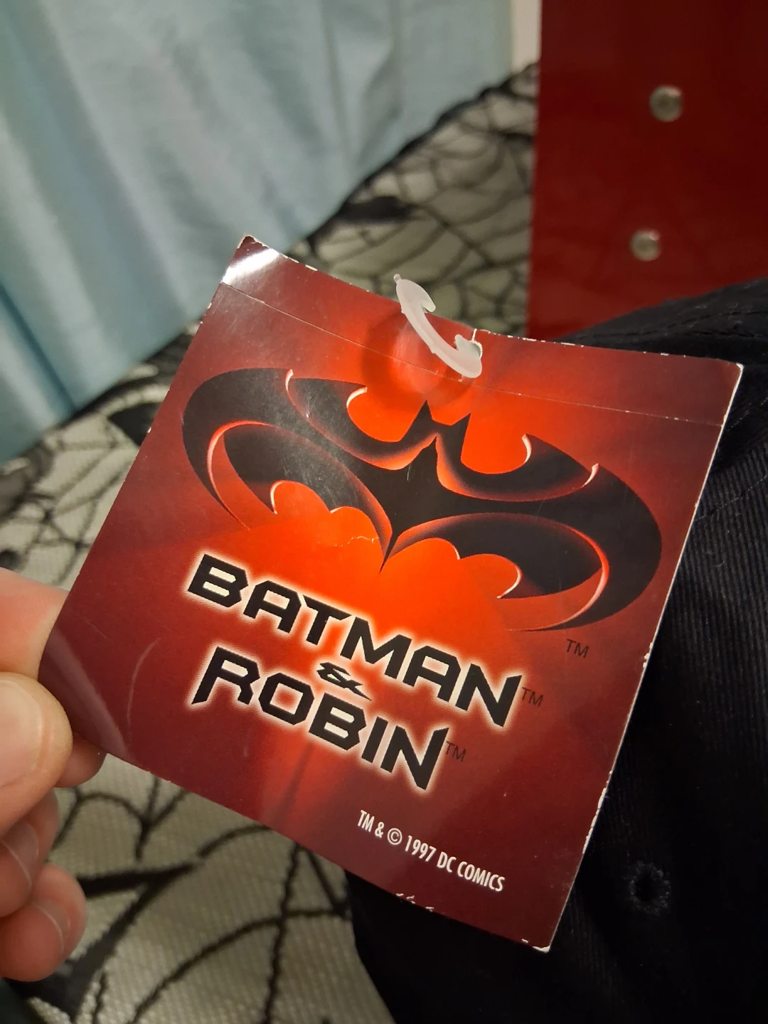 Vintage 1997 Batman & Robin Cap
