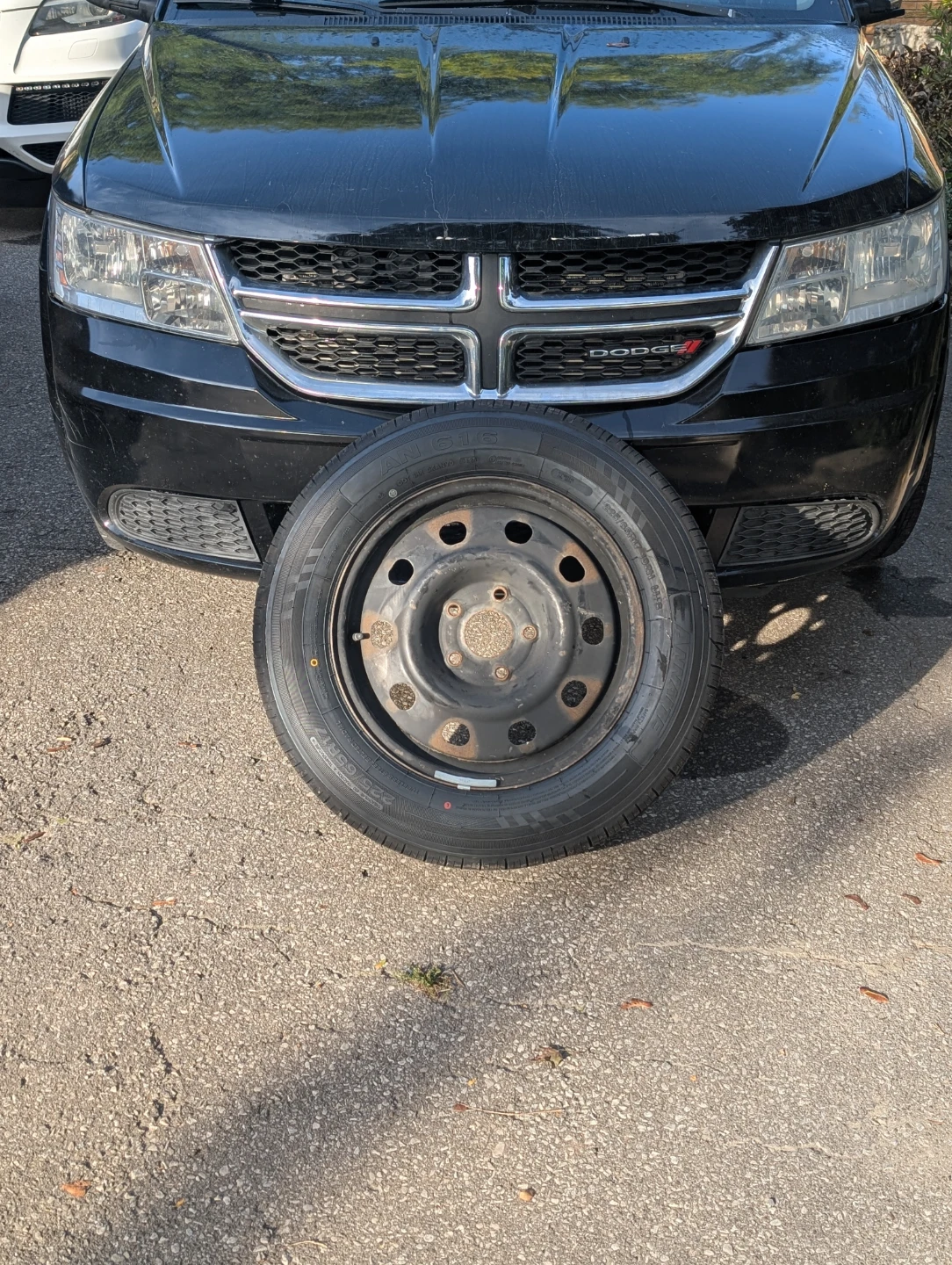 Single Brand New Tire